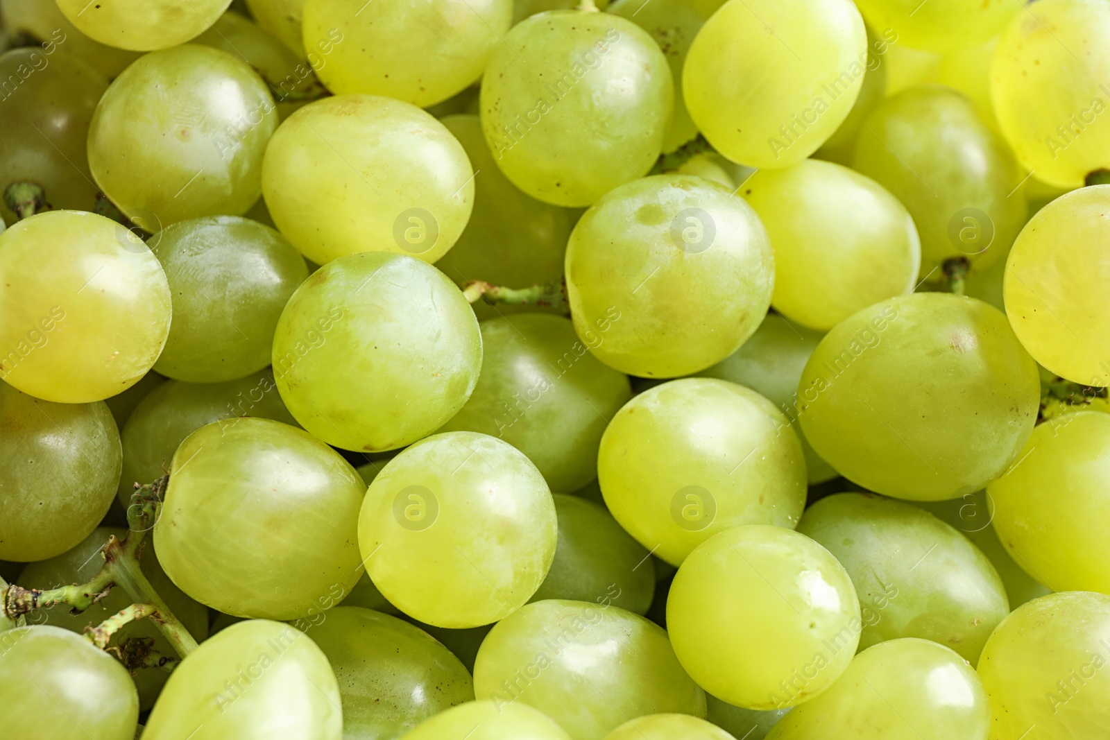 Photo of Fresh ripe juicy white grapes as background, closeup view