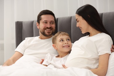 Pregnant woman with her son and husband in bed at home. Happy family