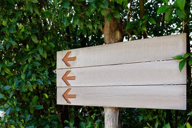 Photo of Blank wooden signpost with arrows on tree outdoors