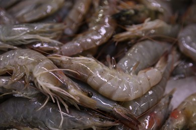 Photo of Many fresh raw shrimp as background, closeup