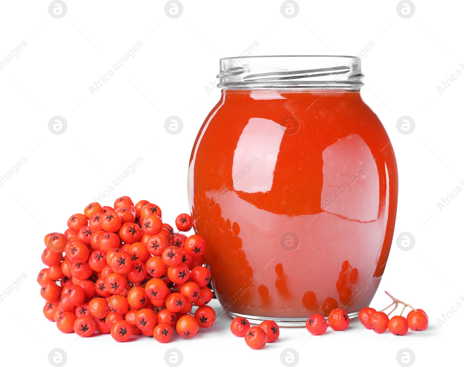 Photo of Delicious rowan jam in glass jar and berries on white background