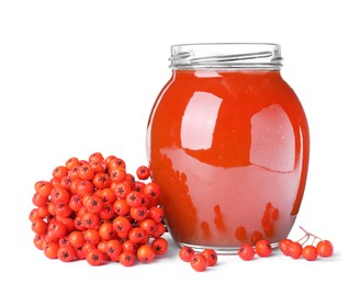 Photo of Delicious rowan jam in glass jar and berries on white background