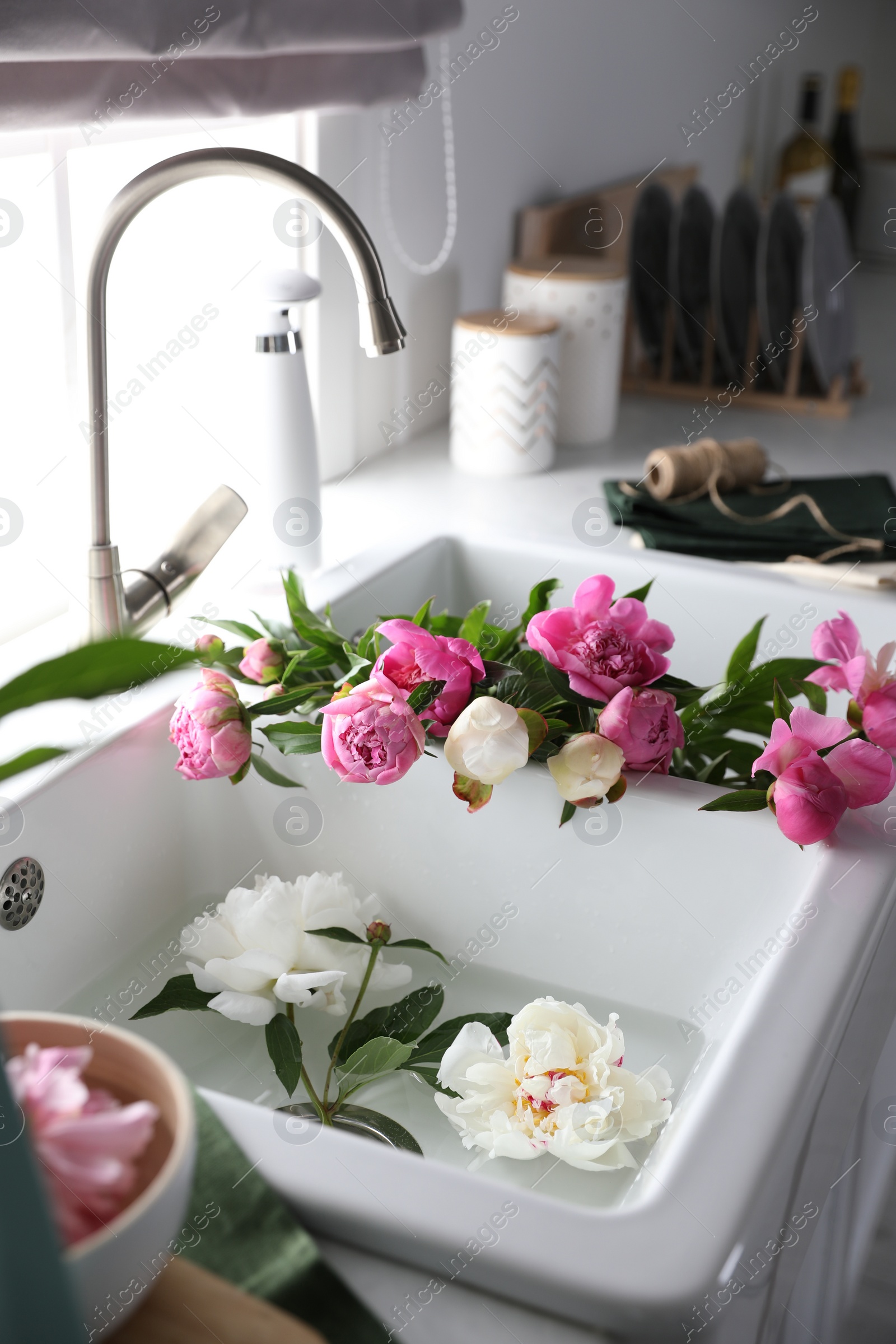 Photo of Bunch of beautiful peonies in kitchen sink