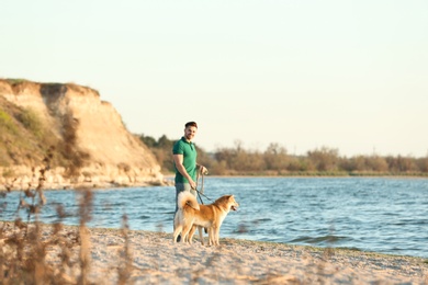 Young man walking his adorable Akita Inu dogs near river