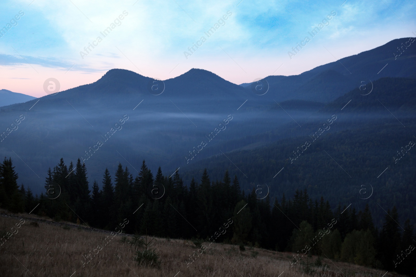 Photo of Amazing view of beautiful foggy mountains in early morning