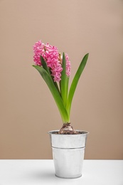 Beautiful hyacinth in metal bucket on table against color background. Spring flowers