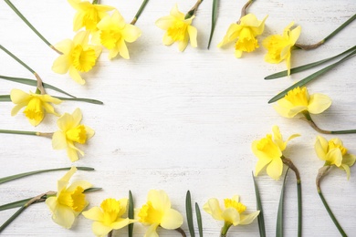 Photo of Flat lay composition with daffodils and space for text on white wooden background. Fresh spring flowers