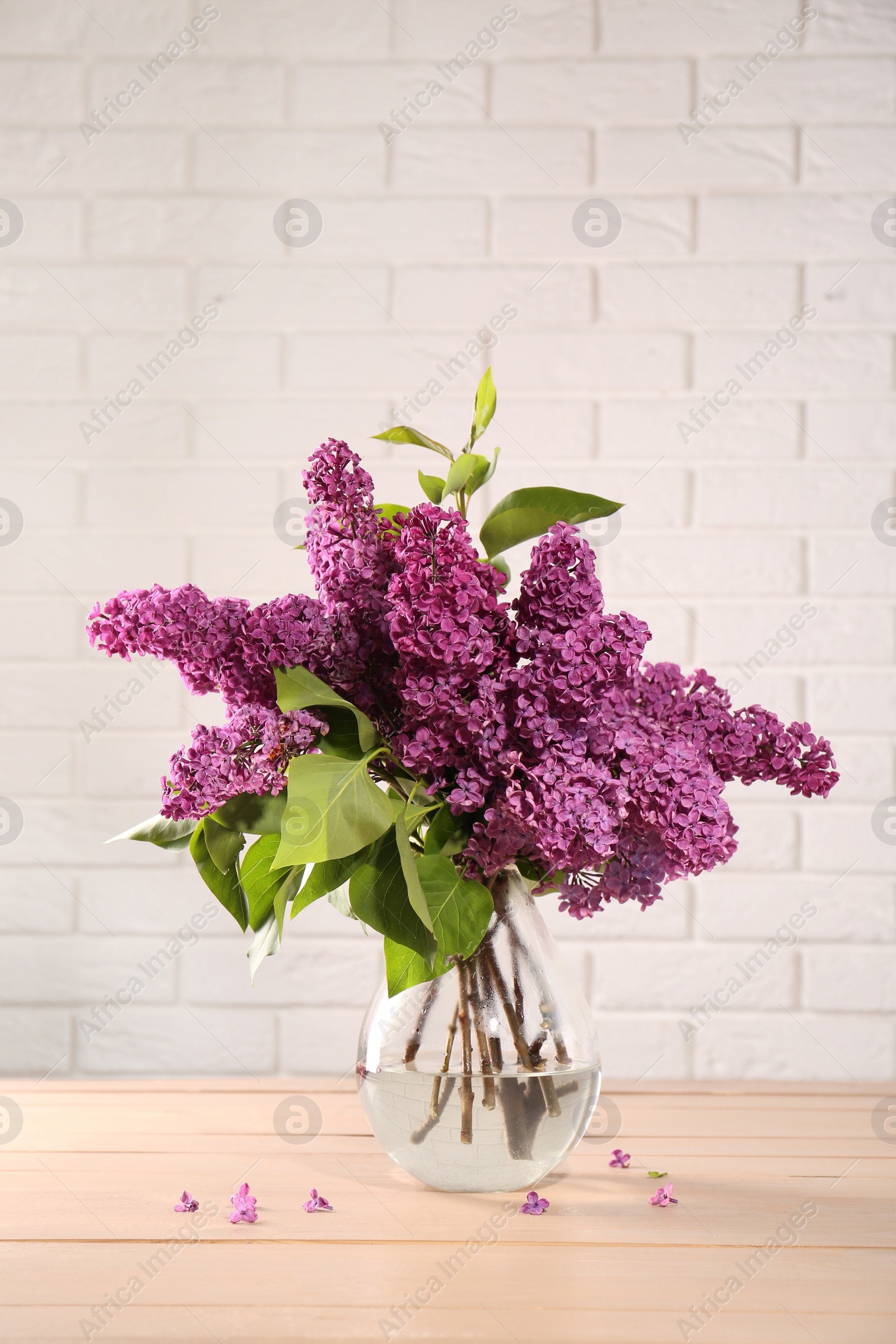 Photo of Beautiful lilac flowers in vase on wooden table near white tiled wall