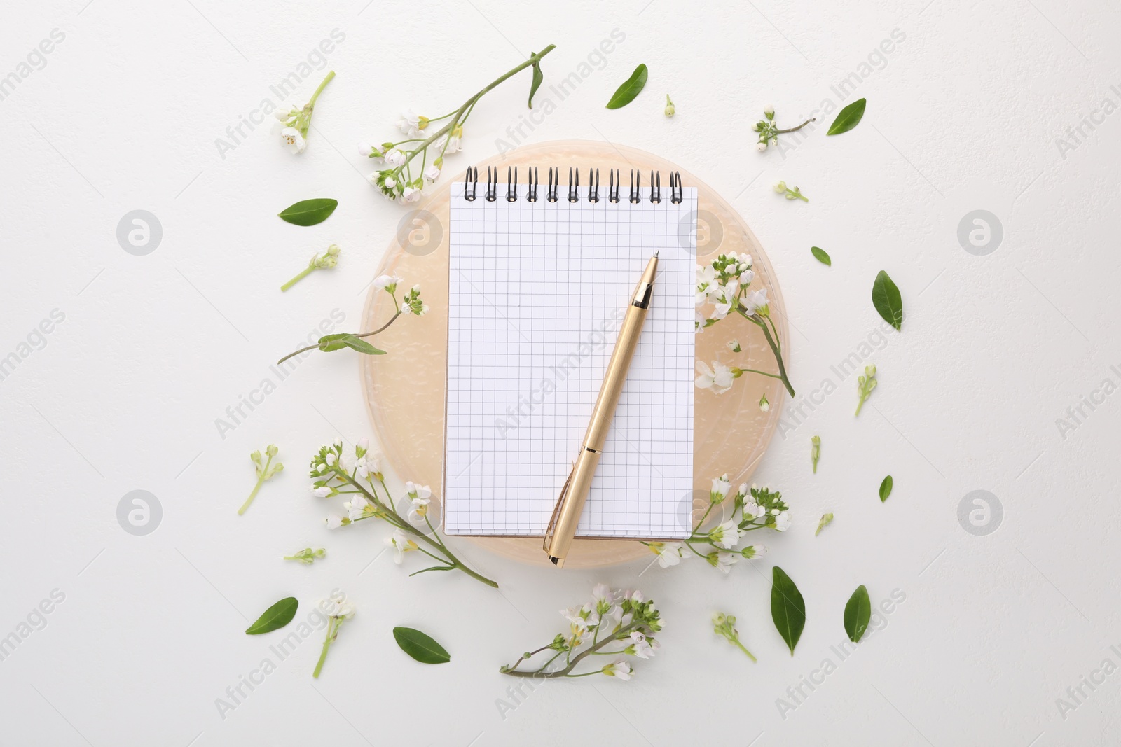 Photo of Guest list. Notebook, pen and beautiful spring tree blossoms on white background, flat lay