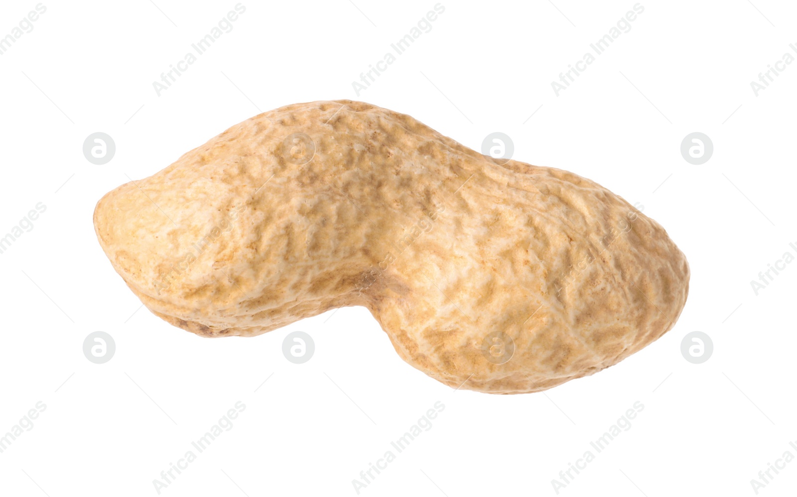 Photo of One fresh unpeeled peanut isolated on white