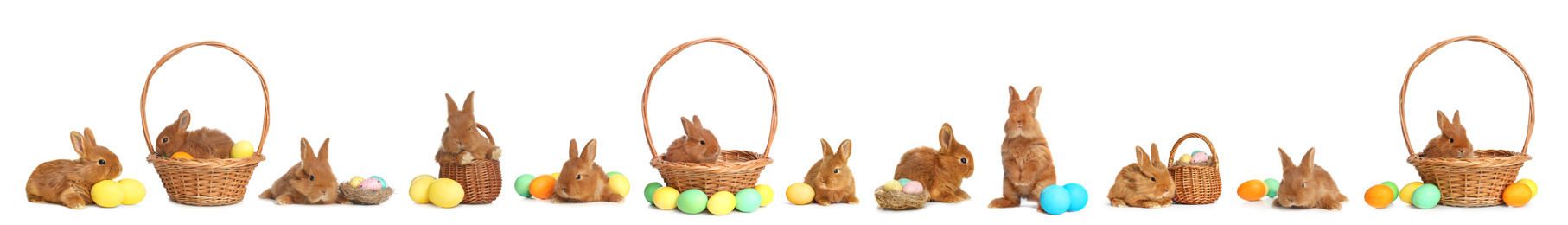 Image of Collage with adorable fluffy Easter bunnies on white background. Banner design 