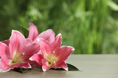 Photo of Beautiful pink lily flowers on wooden table outdoors, space for text