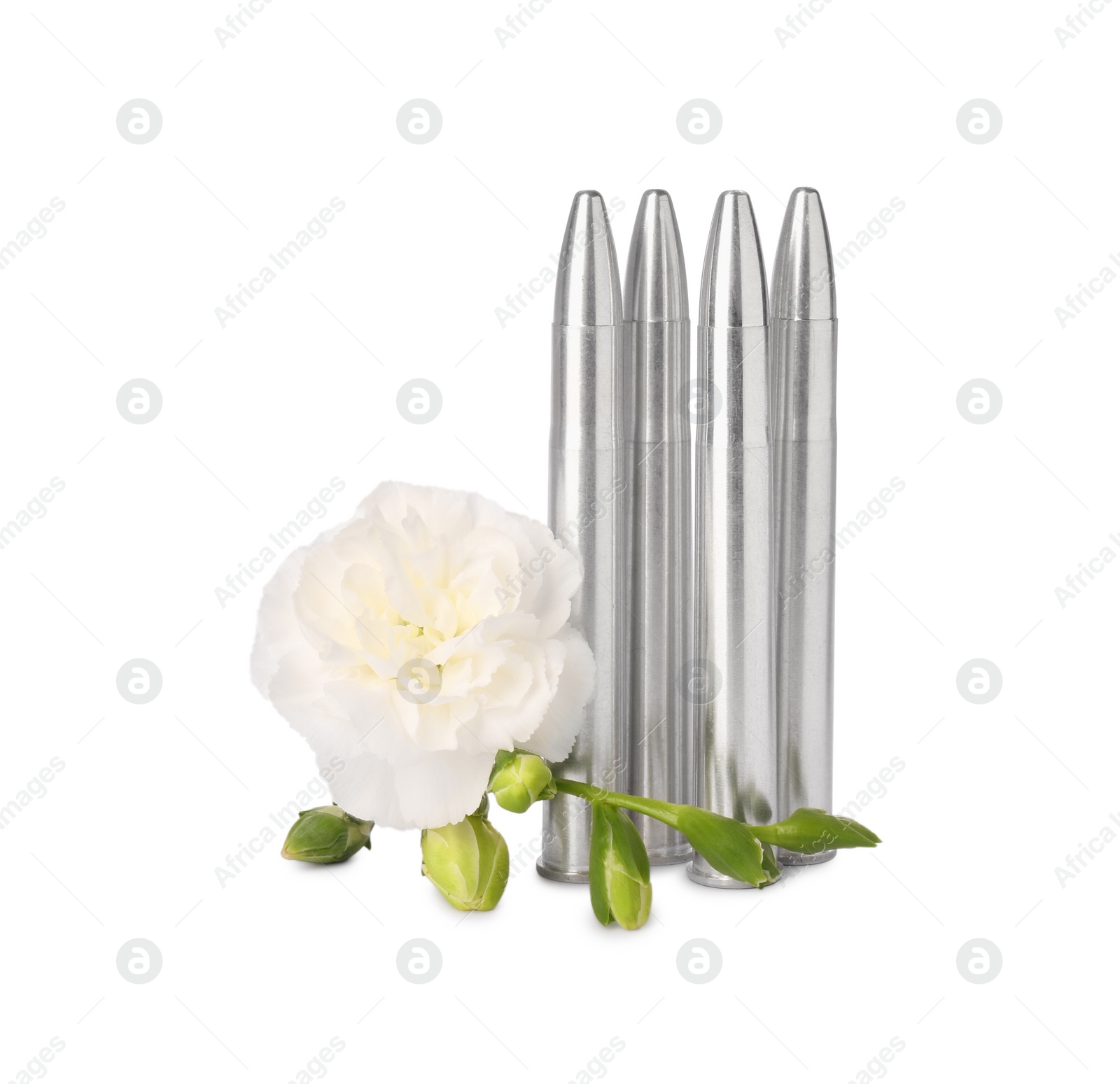 Photo of Bullets and beautiful flower isolated on white