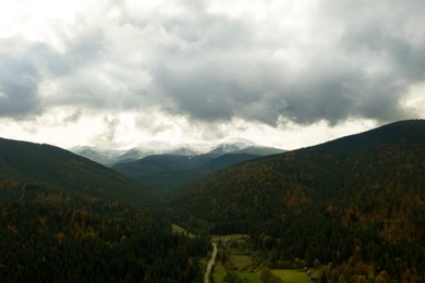 Image of Aerial view of beautiful forest in mountains on autumn day