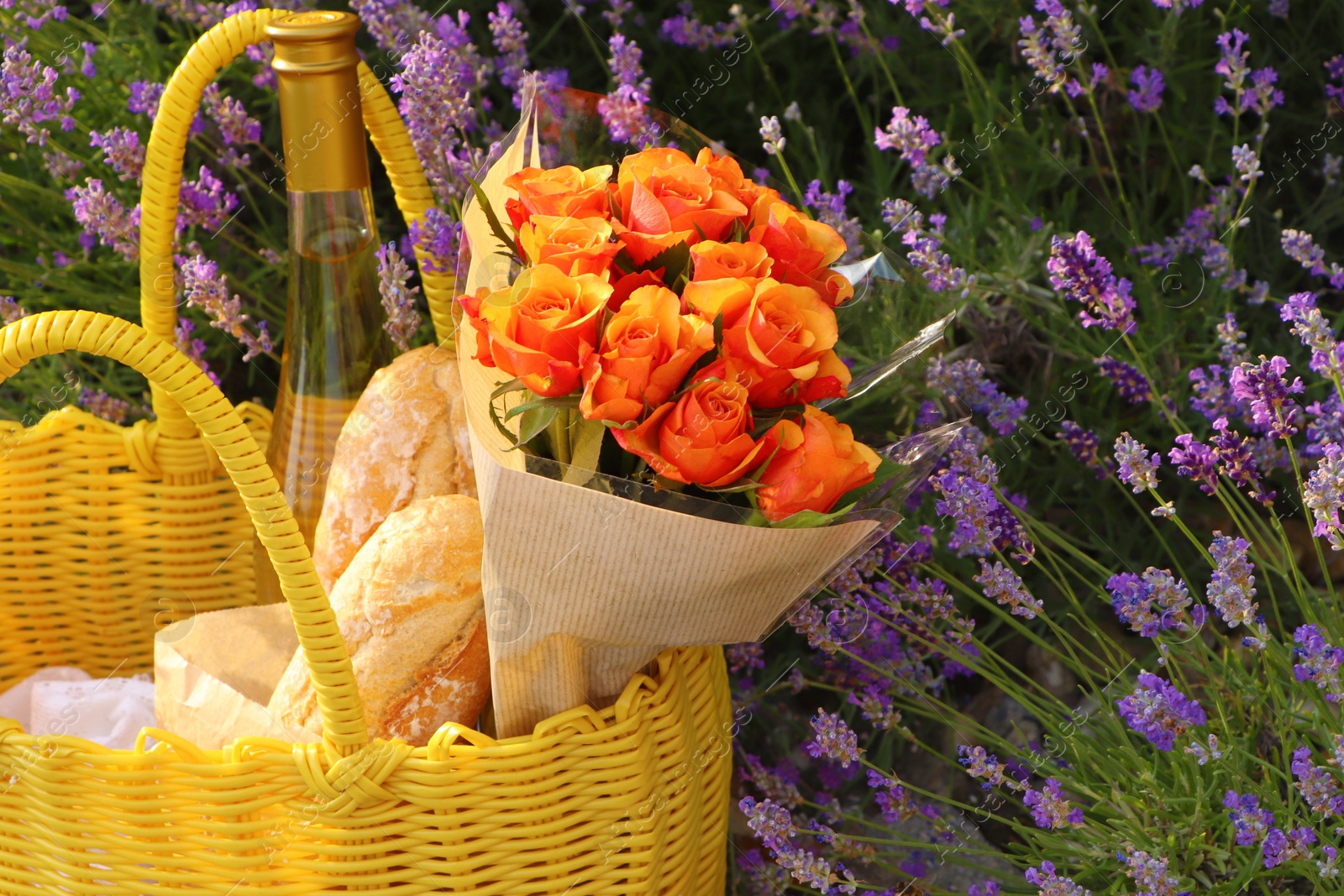 Photo of Yellow wicker bag with beautiful roses, bottle of wine and baguettes in lavender field