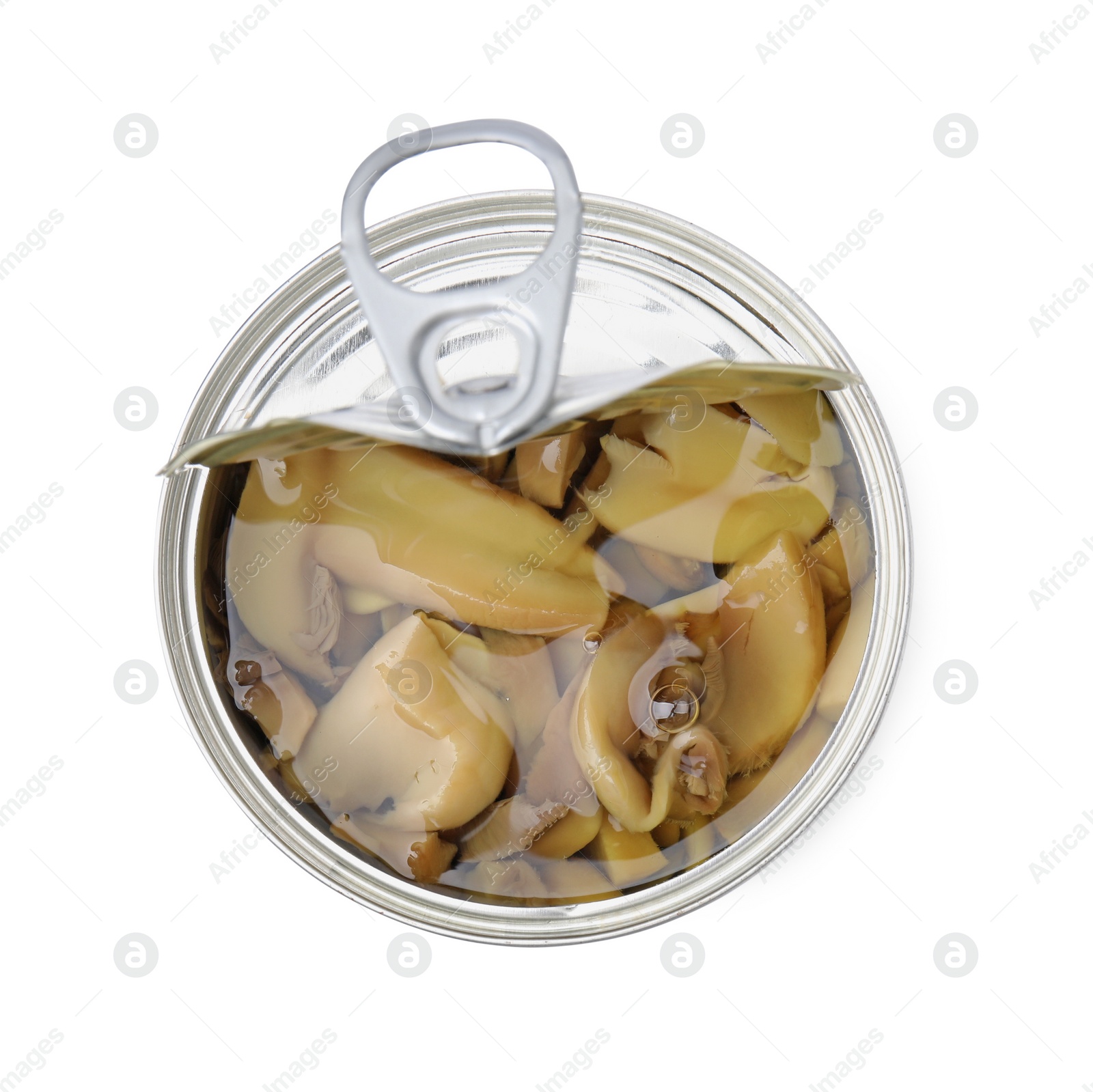 Photo of Open tin can of mushrooms isolated on white, top view