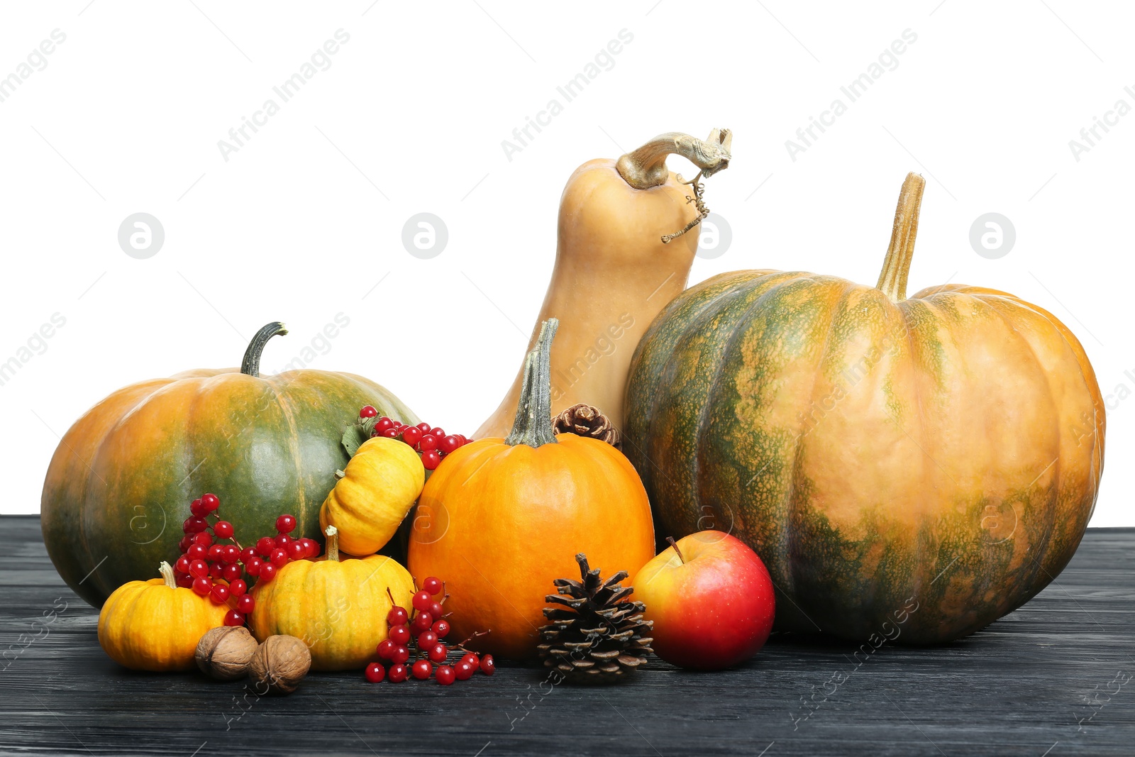 Photo of Happy Thanksgiving day. Composition with pumpkins and berries on black wooden table against white background