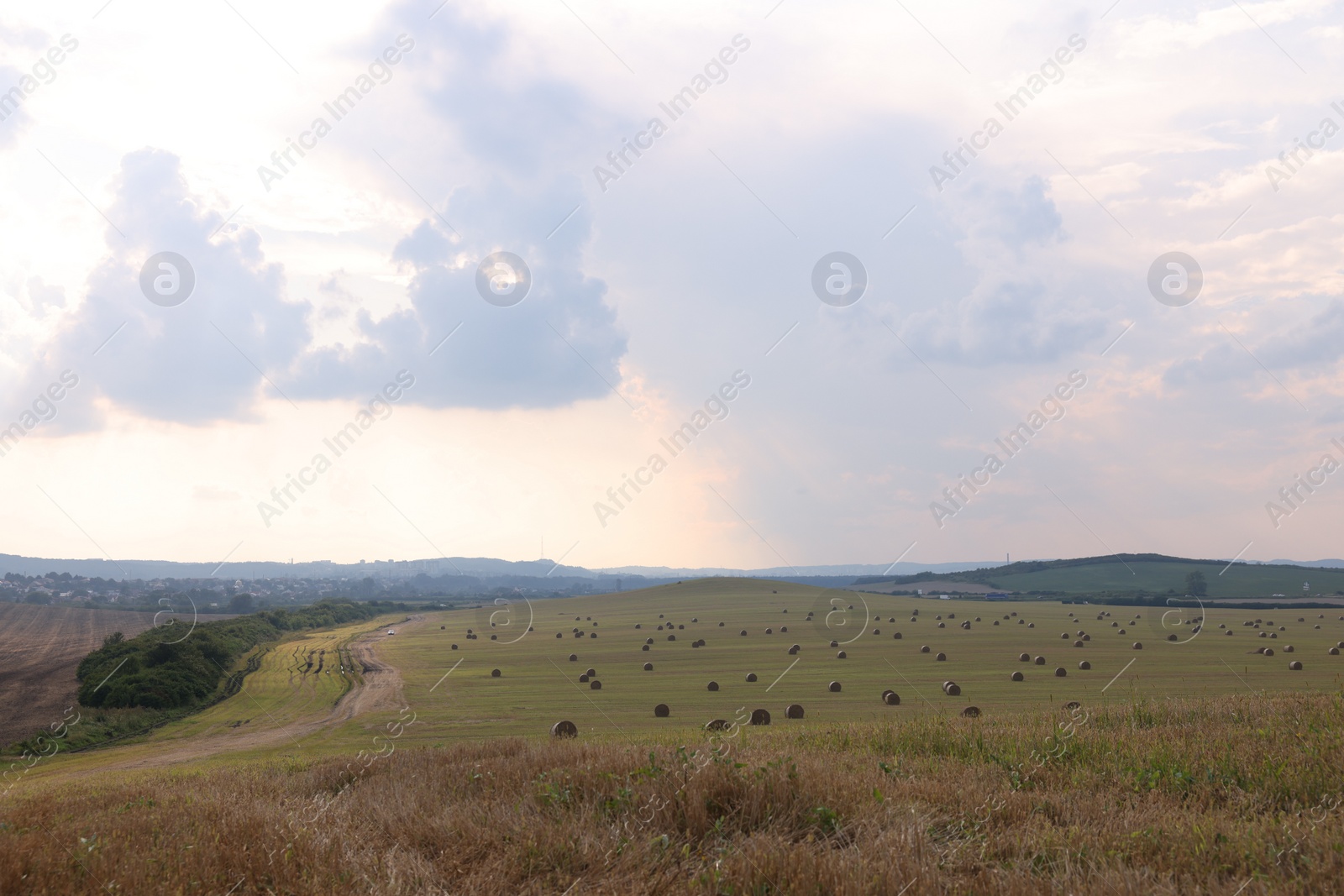 Photo of Beautiful view of agricultural field with hay bales