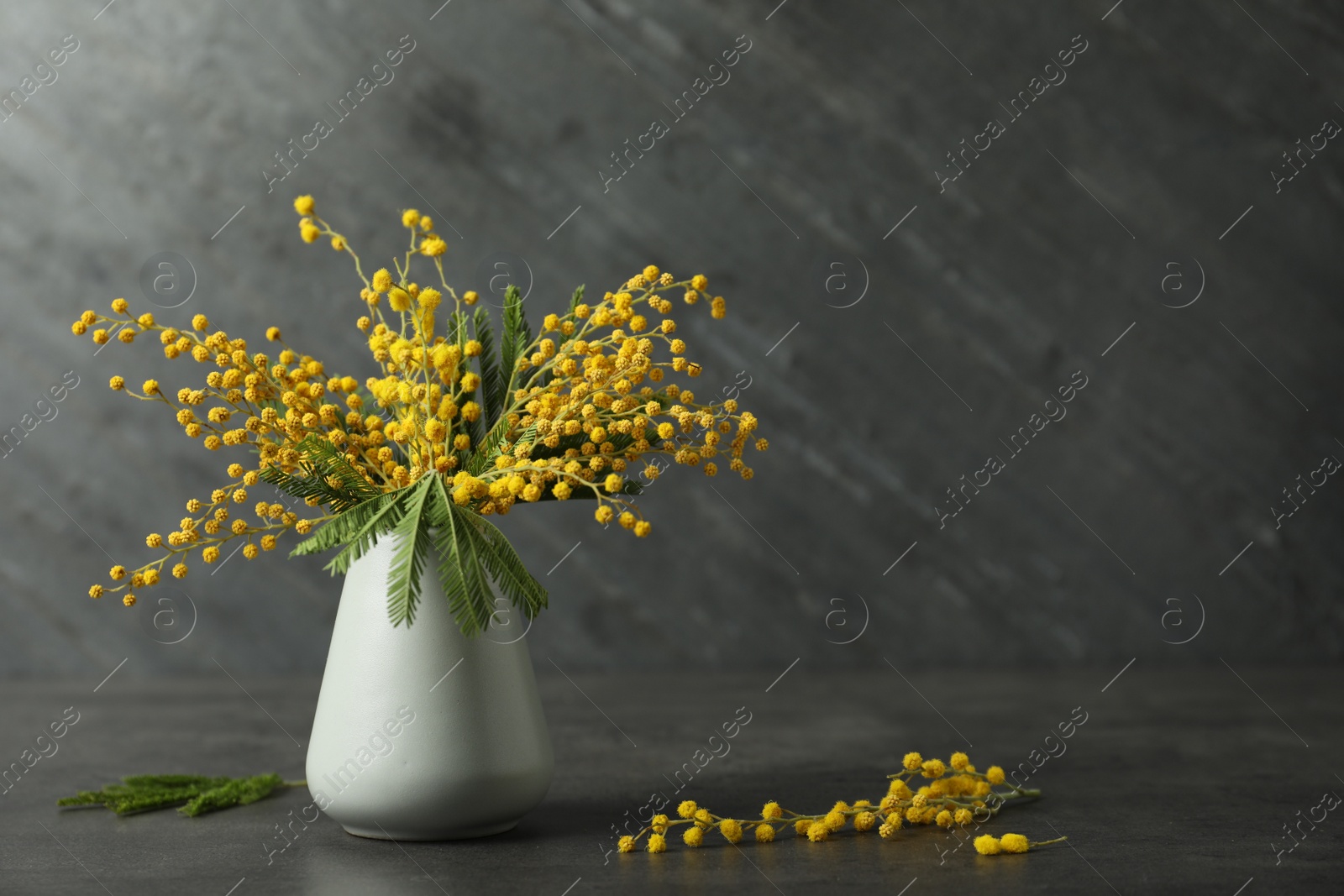 Photo of Bouquet of beautiful mimosa flowers on black background