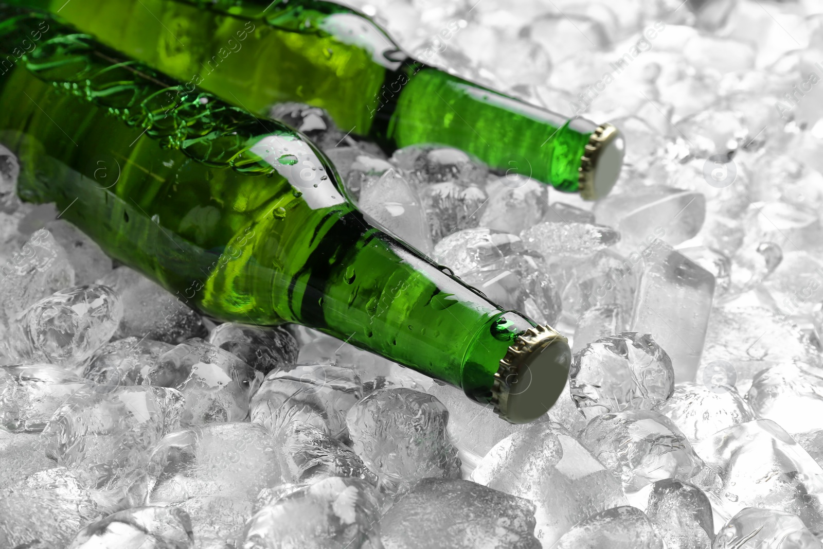 Photo of Bottles of beer on ice cubes, closeup