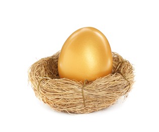 Photo of Shiny golden egg in nest on white background