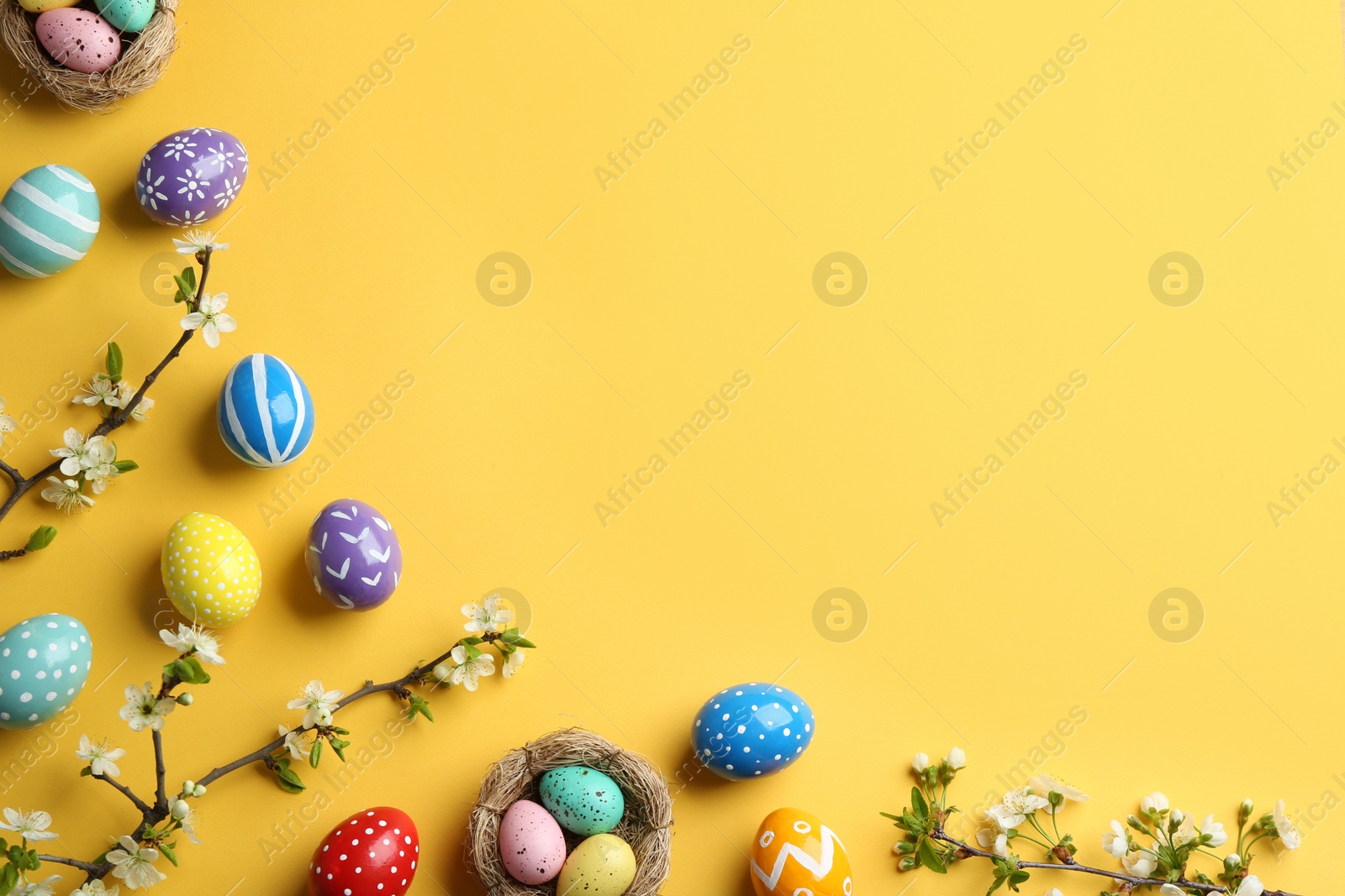 Photo of Flat lay composition with painted Easter eggs and blossoming branches on color background, space for text