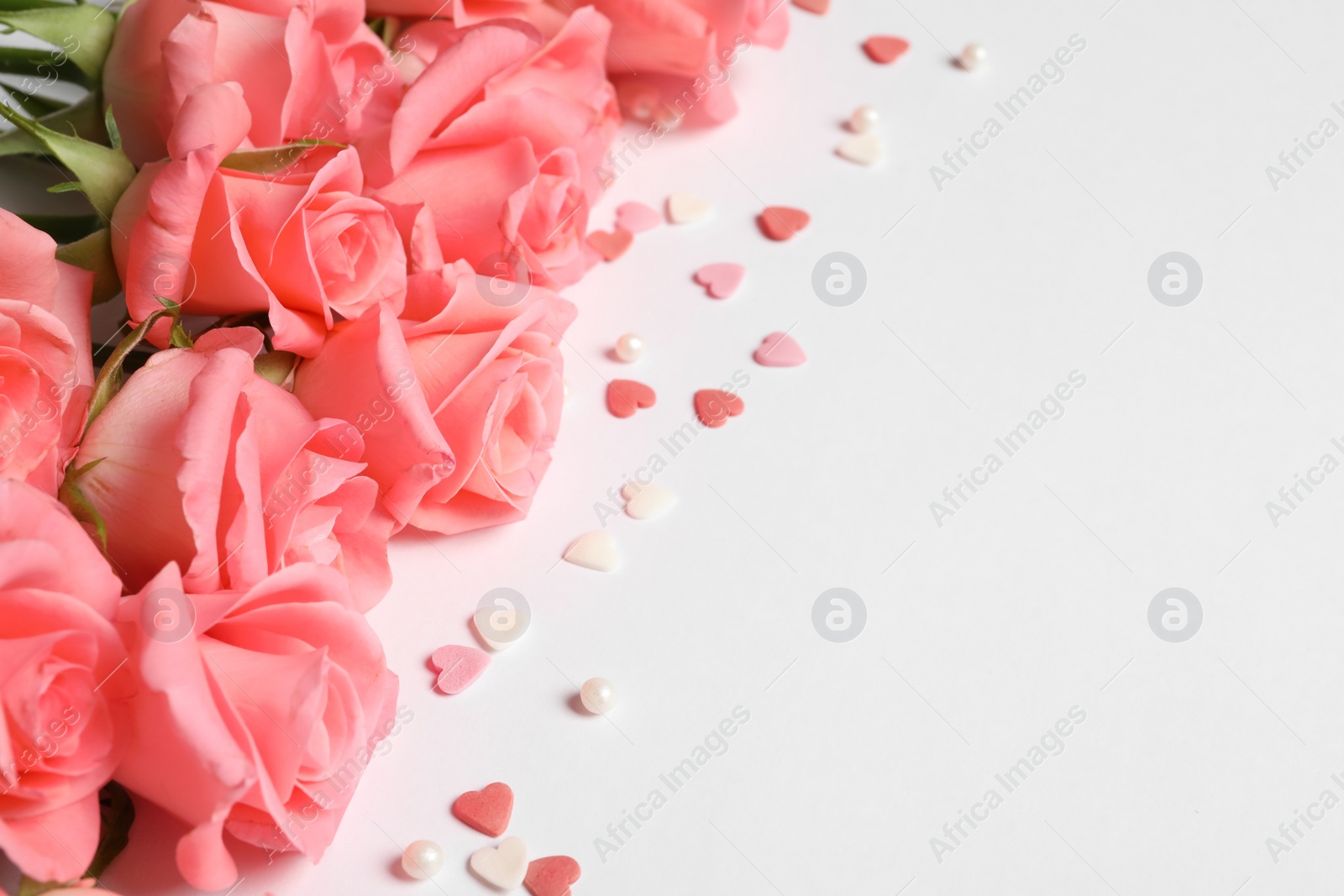 Photo of Beautiful roses and little hearts on white background