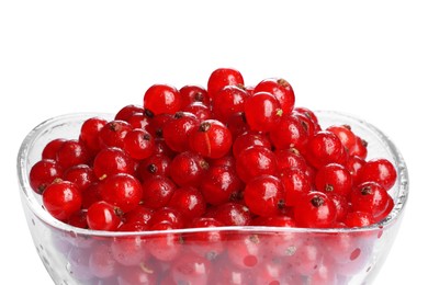 Wet ripe red currants in glass bowl isolated on white