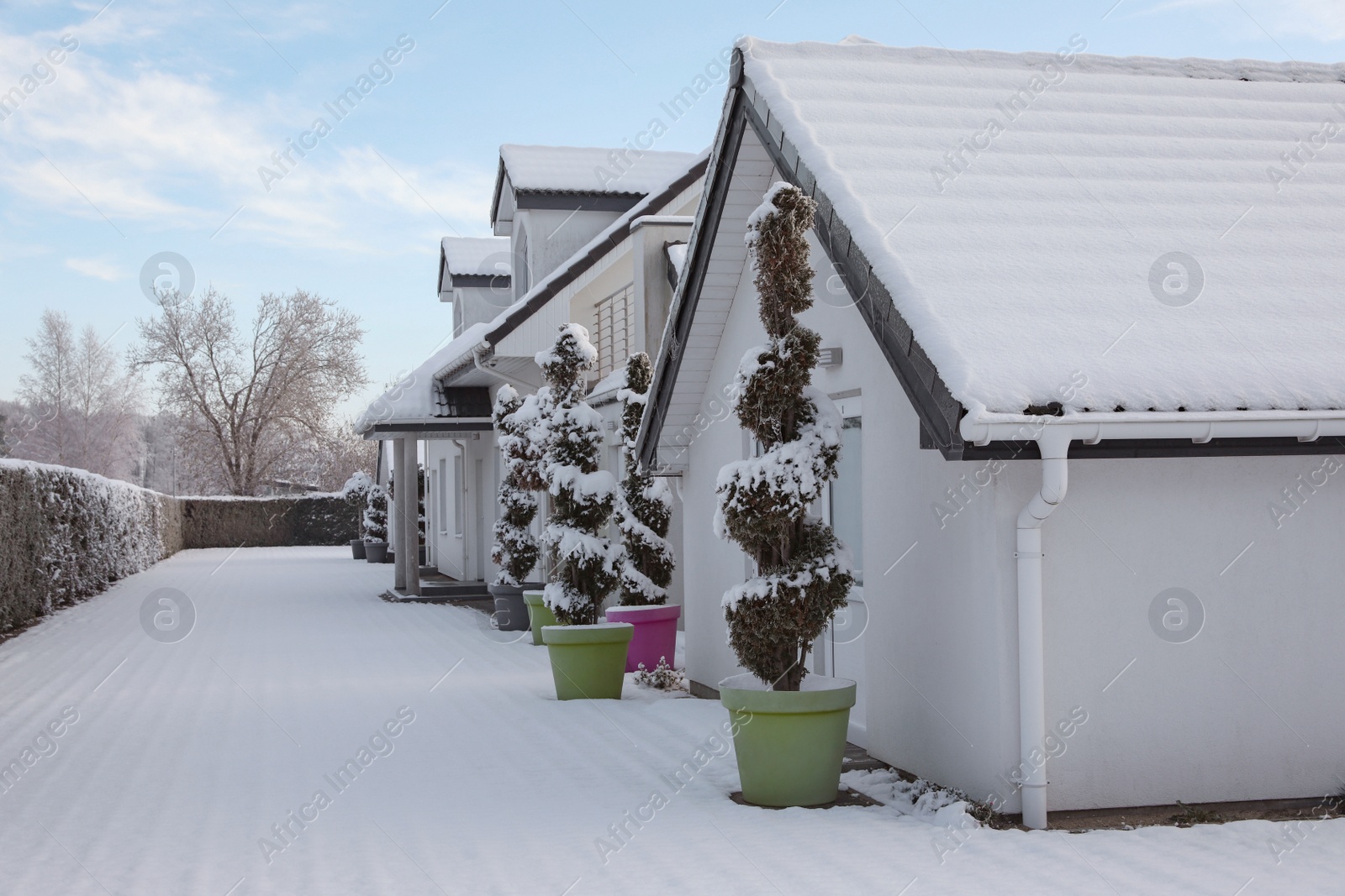 Photo of Winter landscape with beautiful houses, trees and bushes in morning