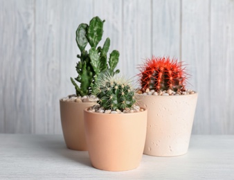 Photo of Beautiful cacti on table