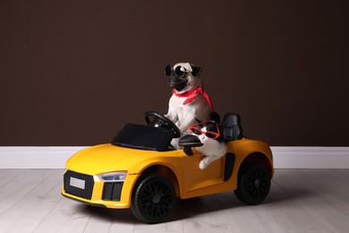Photo of Funny pug dog and cat with sunglasses in toy car near brown wall indoors