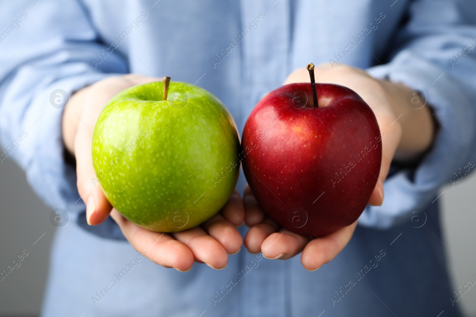 Photo of Woman holding fresh ripe red and green apples on grey background, closeup