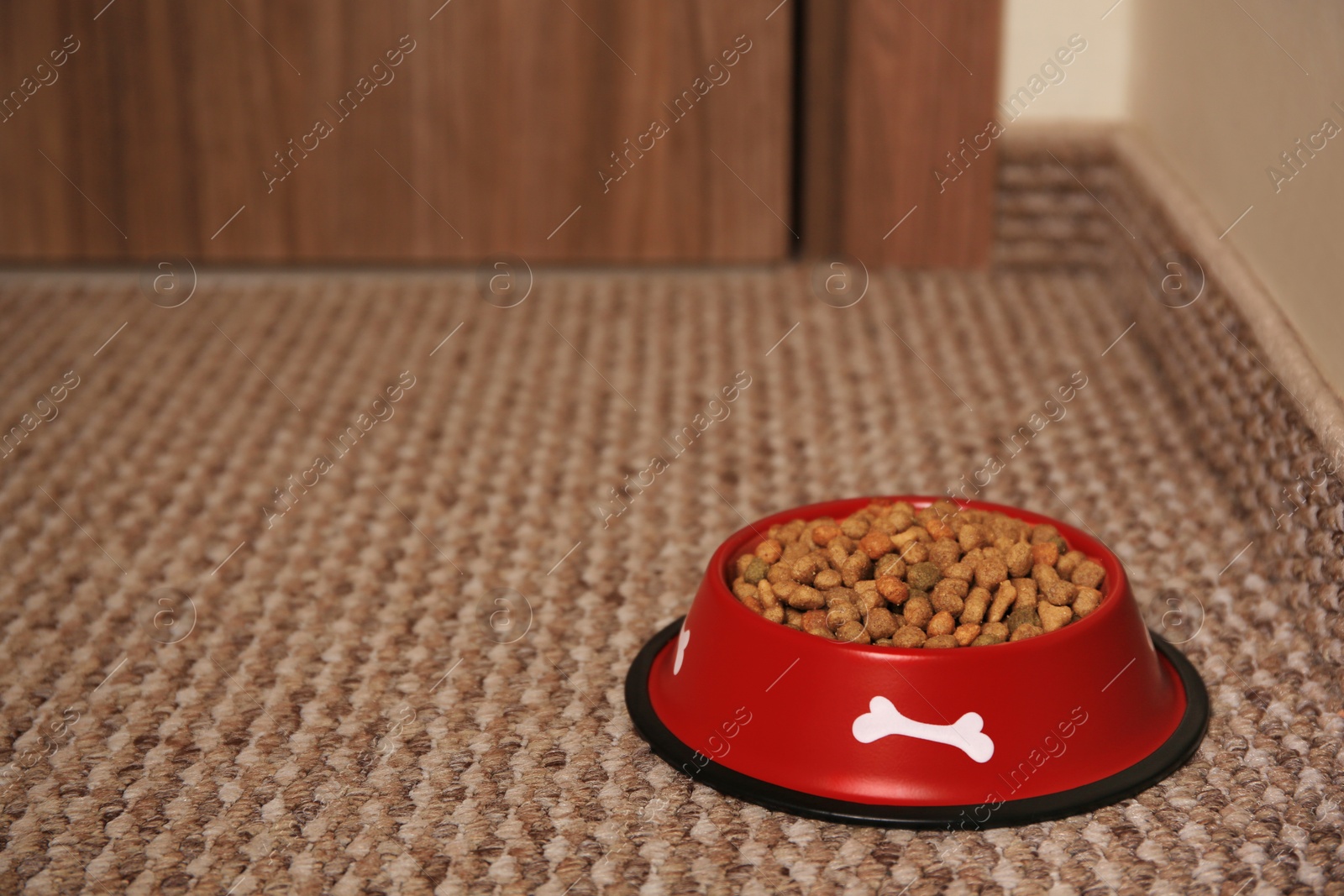 Photo of Dry dog food in feeding bowl on soft carpet indoors. Space for text