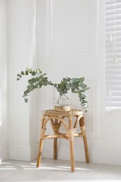 Beautiful eucalyptus branches in vase on wicker table indoors