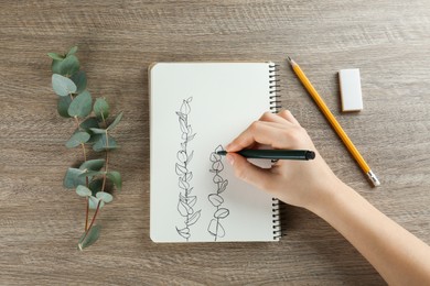 Photo of Woman drawing beautiful eucalyptus branches in sketchbook at wooden table, top view