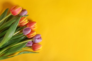 Photo of Many beautiful tulips on yellow background, flat lay. Space for text