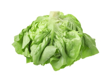 Photo of Fresh green butter lettuce head isolated on white