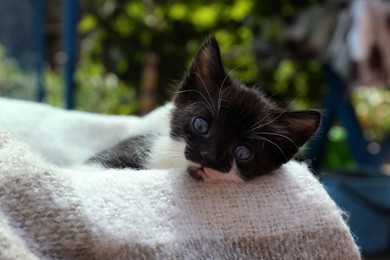 Photo of Cute baby kitten lying on cozy blanket outdoors, closeup