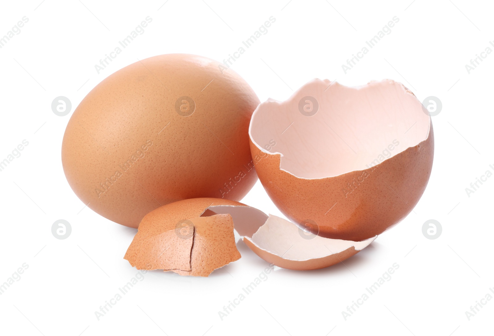 Photo of Chicken egg and pieces of shell isolated on white