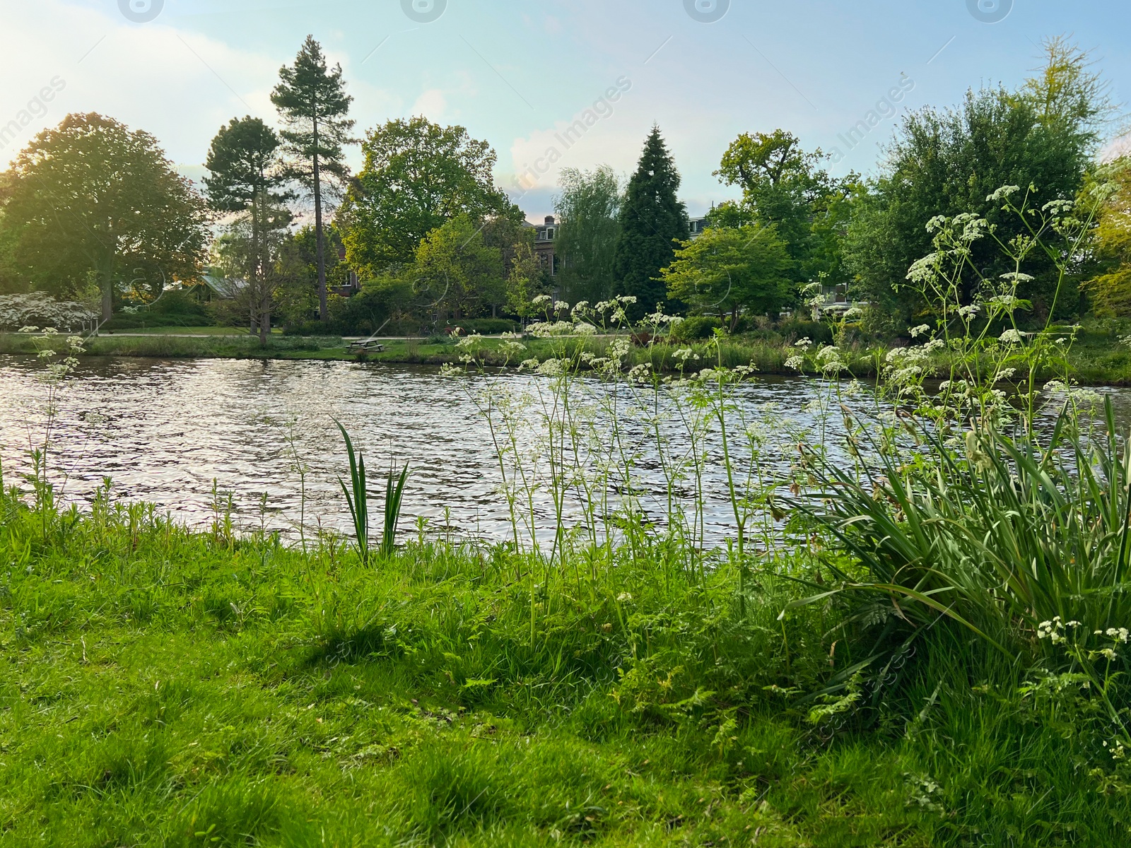 Photo of Picturesque view of beautiful green grass and canal on sunny day