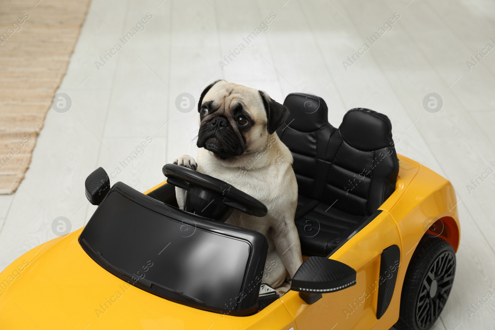 Photo of Adorable pug dog in toy car indoors