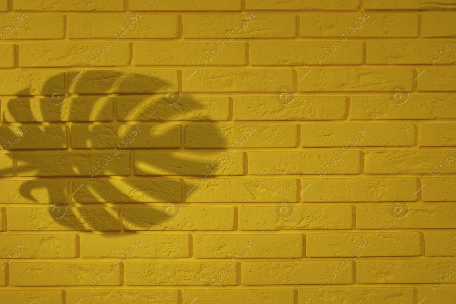 Photo of Shadow of monstera leaf on yellow brick wall, space for text