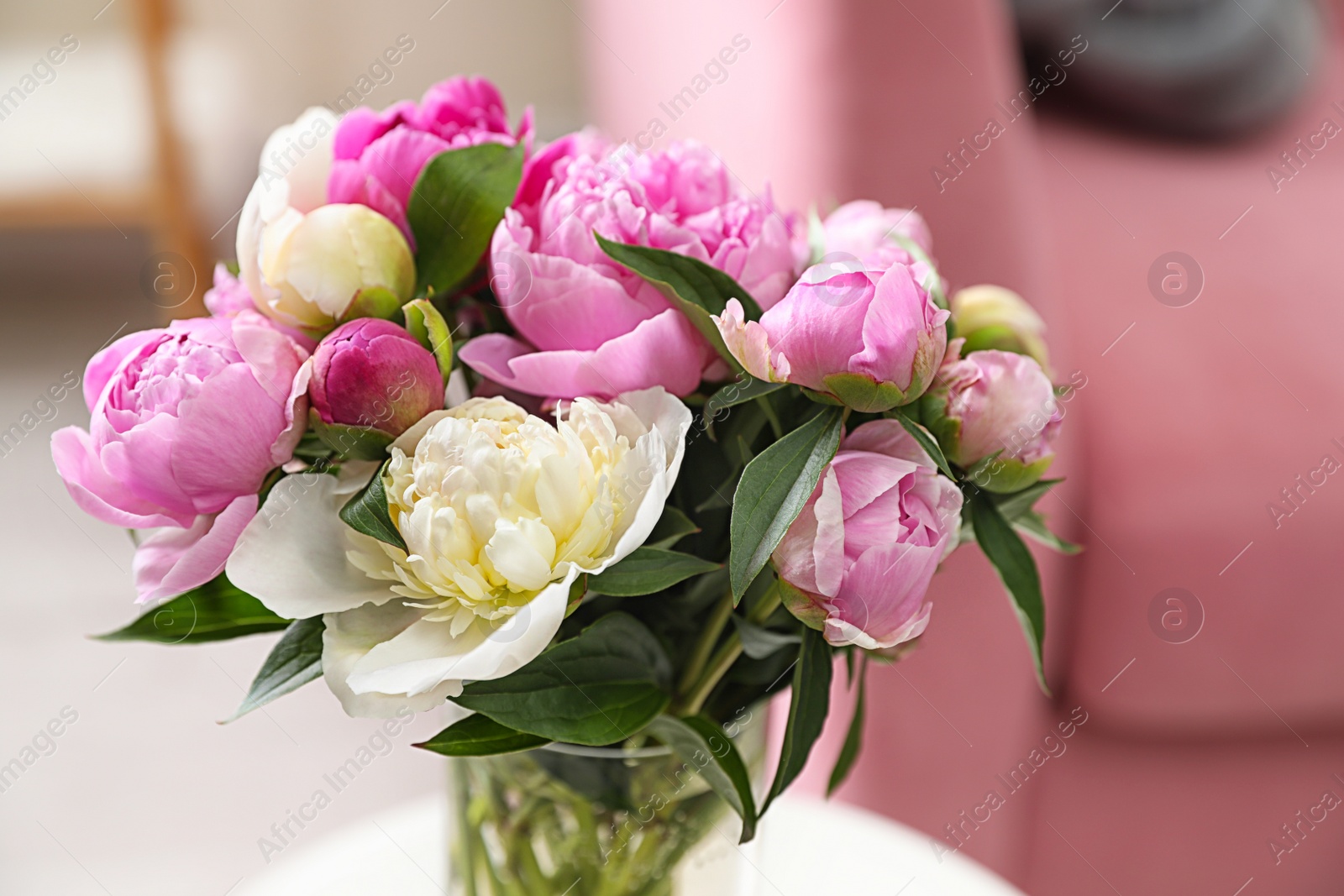 Photo of Vase with bouquet of beautiful peonies in room, closeup