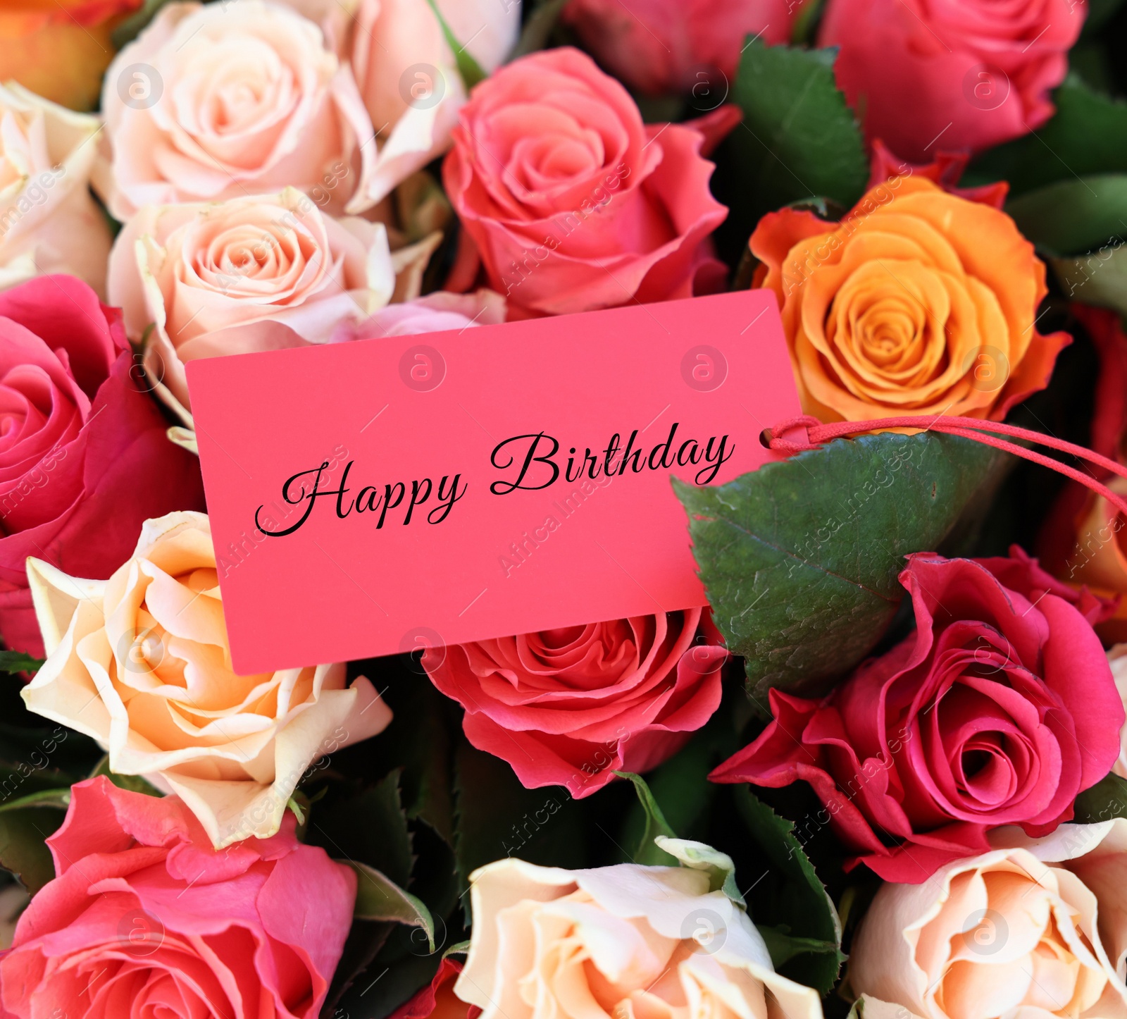 Image of Bouquet of beautiful roses with Happy Birthday card, closeup