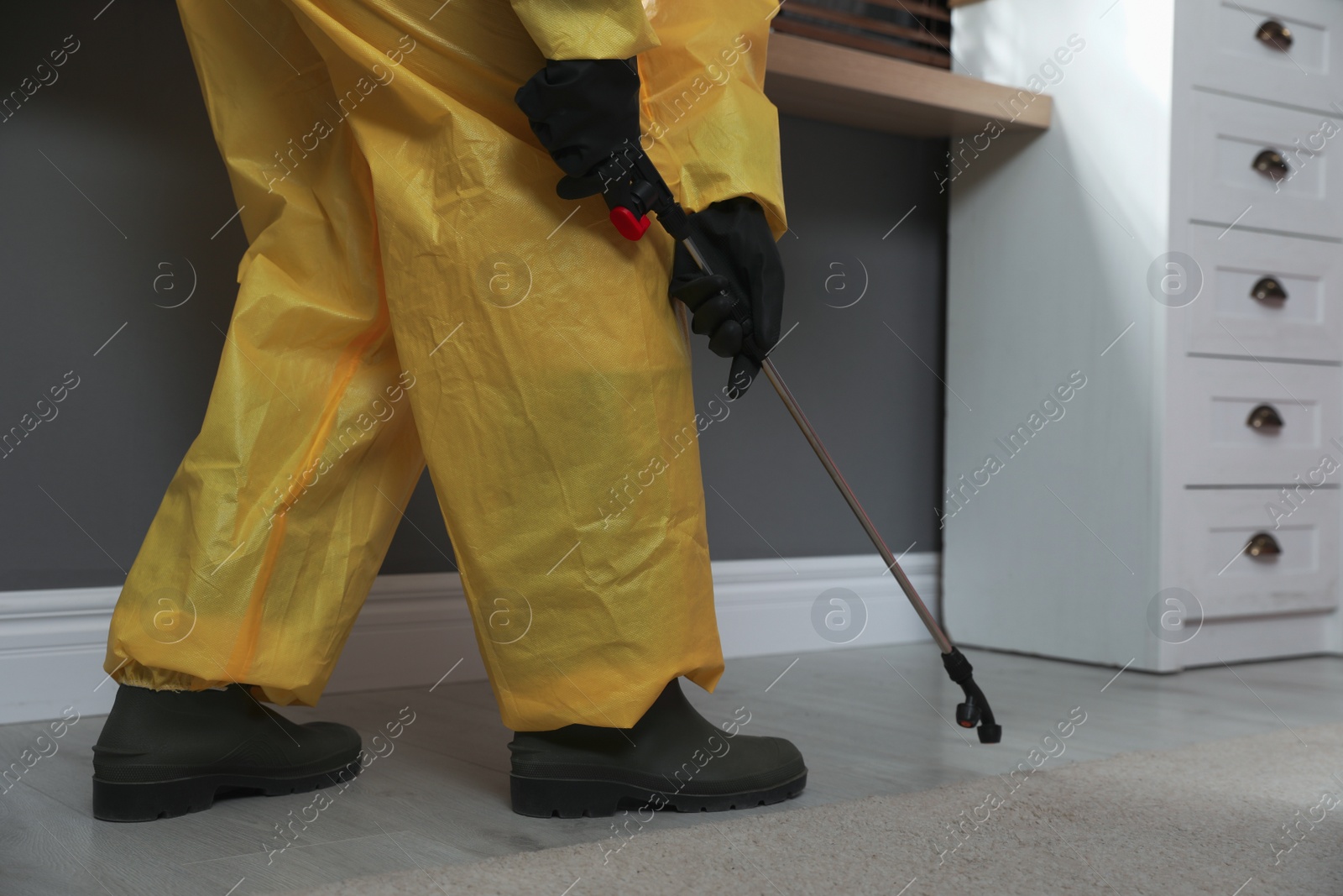 Photo of Pest control worker in protective suit spraying insecticide on floor at home, closeup