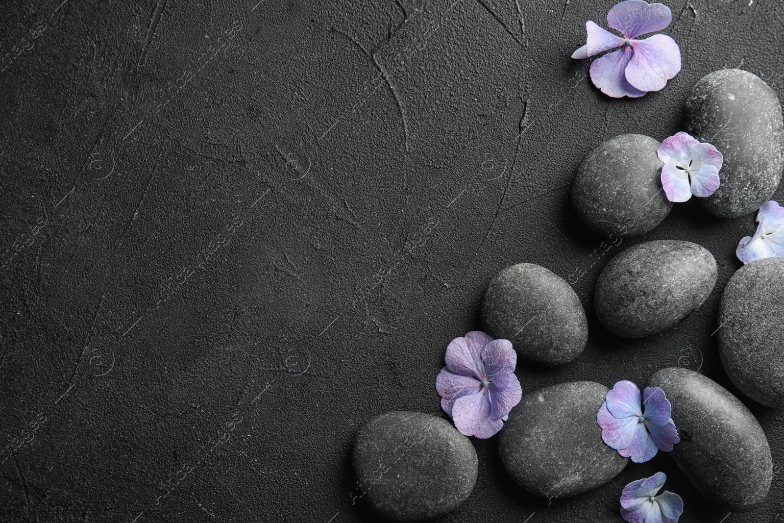 Photo of Zen stones and exotic flowers on dark background, top view with space for text