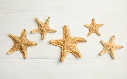 Photo of Beautiful sea stars on white wooden background, flat lay