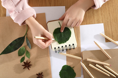 Little girl working with natural materials at table, top view. Creative hobby