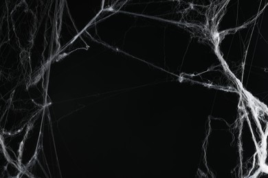 Photo of Creepy white cobweb on black background, closeup