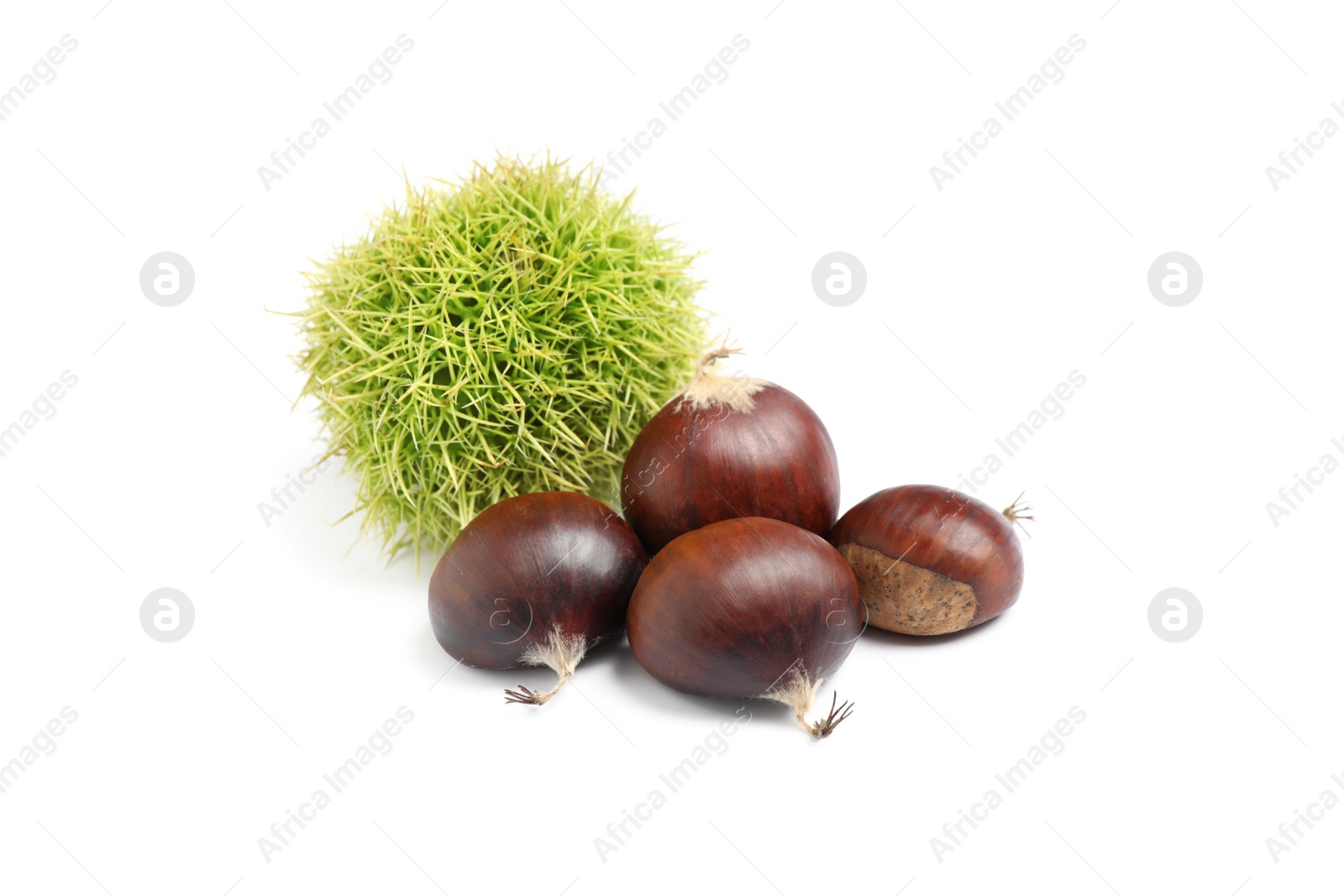 Photo of Fresh sweet edible chestnuts on white background